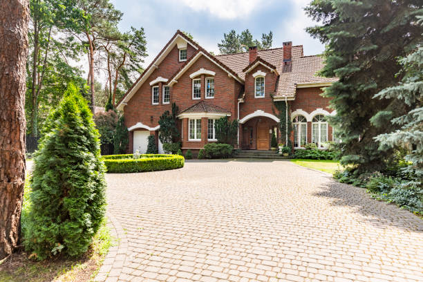 Best Professional Driveway Pavers  in Battle Mountain, NV