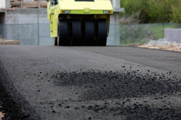 Best Driveway Pavers Cost  in Battle Mountain, NV