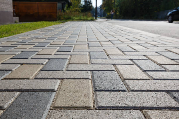 Best Local Driveway Pavers  in Battle Mountain, NV