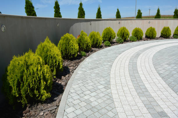 Best Driveway Paving Company  in Battle Mountain, NV